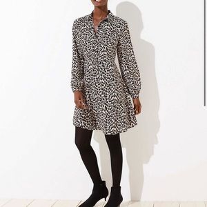 Loft leopard shirt dress